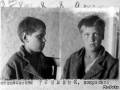 Операция «Буссард»: к чему гитлеровцы готовили советских детей-диверсантов